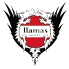 Logo of Llamas Kochi FC