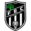 Logo of Figueirense EC