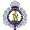 Logo of Police FC G