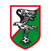Logo of Sokol Kleczew
