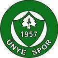 Logo of Unyespor