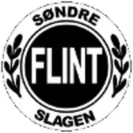 Logo of Flint U19