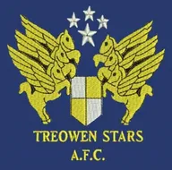 Logo of Treowen Stars