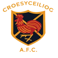 Logo of Croesceiliog