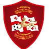 Logo of FC Tskhinvali U19