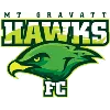 Logo of Mount Gravatt Hawks SC (R)