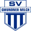Logo of Gmunden