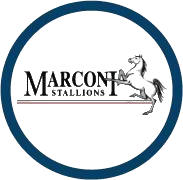 Logo of Marconi Stallions