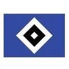 Logo of Hamburger SV (Youth)