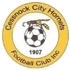 Logo of Cessnock City Hornets Reserves