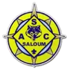 Logo of AS Saloum