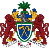 Logo of Immigration FC
