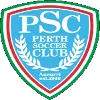 Logo of Pires