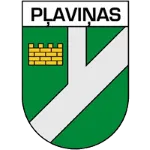 Logo of Plavinas DM