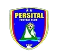 Logo of Dulamayo FC
