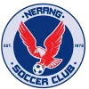 Logo of Nerang