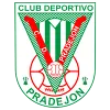 Logo of CD Pradejon  B (W)