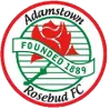 Logo of Adamstown Rosebuds FC