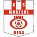 Logo of Muresul Deva