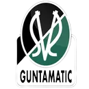 Logo of SV Ried