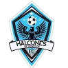 Logo of Halcones FC