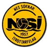 Logo of NSI Runavik