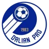 Logo of Dalian Professional U17