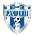 Logo of ACS Viitorul Pandurii Targu Jiu U19