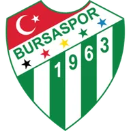 Logo of Bursaspor