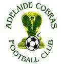 Logo of Adelaide Cobras FC