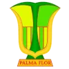 Logo of Atletico Palmaflor Vinto Reserves