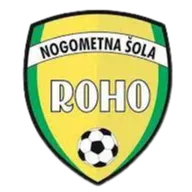 Logo of NS Roho Vbo