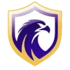 Logo of Falcon FC SE Youth