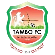 Logo of Tambo FC