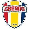 Logo of Gremio Barueri SP