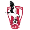 Logo of North Launceston Eagles