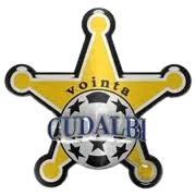 Logo of Vointa Cudalbi