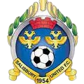 Logo of Salisbury Utd Reserves