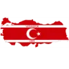 Logo of Vatanspor