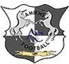 Logo of Amiens U19