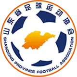 Logo of ShanDong JFSS (w)