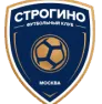 Logo of Strogino Youth