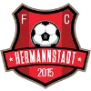 Logo of AFC Hermannstadt (W)