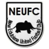Logo of New Edubiase United