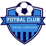 Logo of Socol Copceac