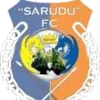 Logo of Sarudu FC