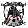 Logo of Ipswich City (w)