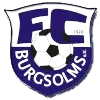 Logo of FC Burgsolms