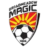 Logo of Broad Mido