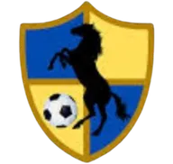 Logo of Racing United